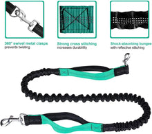 Load image into Gallery viewer, Hands Free Dog Leash with Zipper Pouch