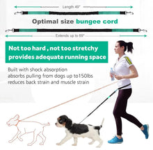 Load image into Gallery viewer, Hands Free Dog Leash with Zipper Pouch