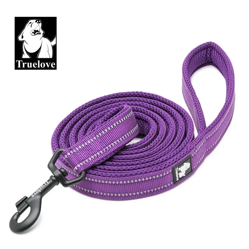 Reflective Padded Nylon Mesh Pet Leash