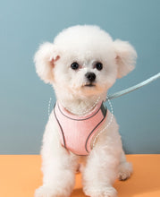 Load image into Gallery viewer, Pet Leash Night Fluoresce Vest/ Harness, Universal Dog or Cat - yourhealthandfitnessshop

