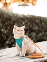 Load image into Gallery viewer, Pet Leash Night Fluoresce Vest/ Harness, Universal Dog or Cat - yourhealthandfitnessshop
