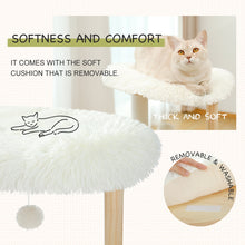 Load image into Gallery viewer, Cat Condo with Soft Perch Fully Wrapped Scratching Sisal Post, Multiple Choices - yourhealthandfitnessshop
